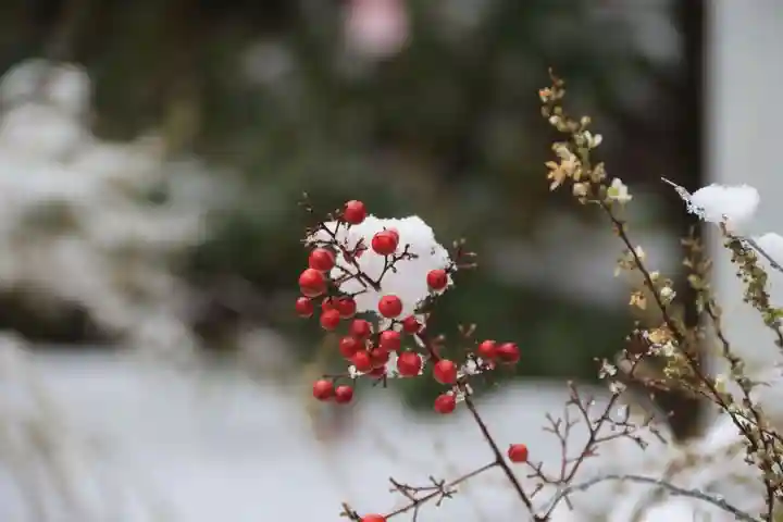 滑川神社 - 仕事と子どもの守り神の授与品その他
