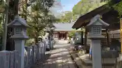 柴崎神社(千葉県)