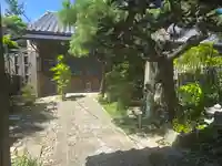 十乗院(京都府)