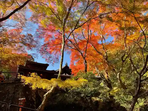 愛宕念仏寺(京都府)