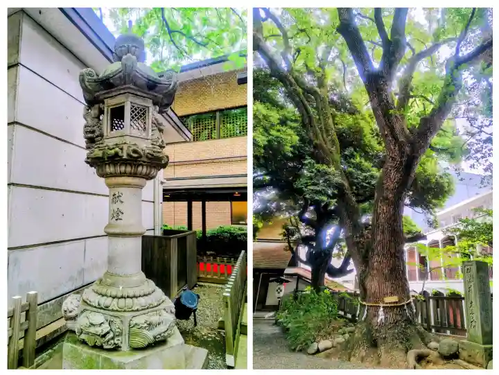 乃木神社の{uncategorized: "未分類", other: "その他", undefined: "問題あり", building: "その他建物", grave: "お墓", sacred_gate: "鳥居", guardian: "狛犬", statue: "像", buddha: "仏像", history: "歴史", nature: "自然", garden: "庭園", animal: "動物", pagoda: "塔", temizu: "手水舎", mountain_gate: "山門・神門", sanctuary: "本殿・本堂", subordinate: "末社・摂社", art: "芸術", scenery: "景色", jizo: "地蔵", ema: "絵馬", goshuin: "御朱印", omikuji: "おみくじ", items: "授与品その他", amulet: "お守り", goshuincho: "御朱印帳", eats: "食事", festival: "お祭り", votive_dance: "神楽", shichigosan: "七五三参", wedding: "結婚式", experience: "体験その他", initially: "初詣", around: "周辺", anti_infection: "感染症対策"}