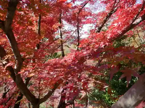 足利織姫神社の景色