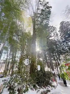 達谷西光寺(岩手県)