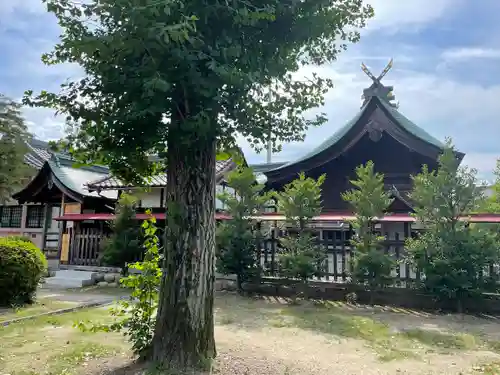 大神神社（花池）の本殿・本堂
