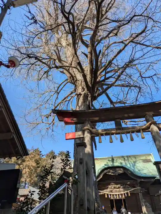 下総国三山 二宮神社(千葉県)