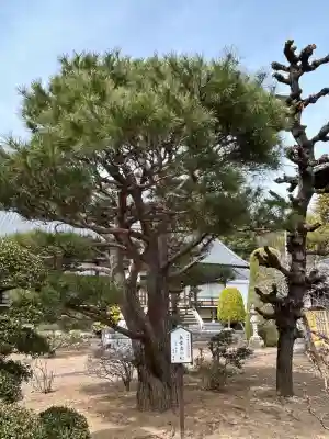 興善寺の{uncategorized: "未分類", other: "その他", undefined: "問題あり", building: "その他建物", grave: "お墓", sacred_gate: "鳥居", guardian: "狛犬", statue: "像", buddha: "仏像", history: "歴史", nature: "自然", garden: "庭園", animal: "動物", pagoda: "塔", temizu: "手水舎", mountain_gate: "山門・神門", sanctuary: "本殿・本堂", subordinate: "末社・摂社", art: "芸術", scenery: "景色", jizo: "地蔵", ema: "絵馬", goshuin: "御朱印", omikuji: "おみくじ", items: "授与品その他", amulet: "お守り", goshuincho: "御朱印帳", eats: "食事", festival: "お祭り", votive_dance: "神楽", shichigosan: "七五三参", wedding: "結婚式", experience: "体験その他", initially: "初詣", around: "周辺", anti_infection: "感染症対策"}