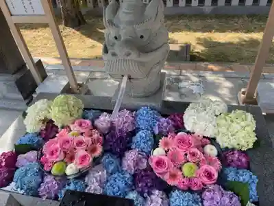 新川皇大神社(北海道)