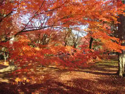 東福禅寺（東福寺）(京都府)