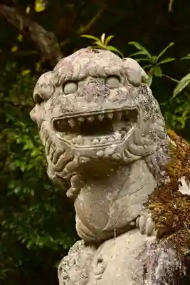 若宮神社(高知県)