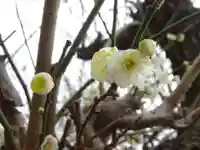 天満宮の自然