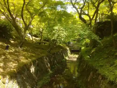 東福禅寺（東福寺）の周辺