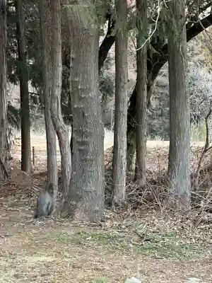 槻井泉神社の{uncategorized: "未分類", other: "その他", undefined: "問題あり", building: "その他建物", grave: "お墓", sacred_gate: "鳥居", guardian: "狛犬", statue: "像", buddha: "仏像", history: "歴史", nature: "自然", garden: "庭園", animal: "動物", pagoda: "塔", temizu: "手水舎", mountain_gate: "山門・神門", sanctuary: "本殿・本堂", subordinate: "末社・摂社", art: "芸術", scenery: "景色", jizo: "地蔵", ema: "絵馬", goshuin: "御朱印", omikuji: "おみくじ", items: "授与品その他", amulet: "お守り", goshuincho: "御朱印帳", eats: "食事", festival: "お祭り", votive_dance: "神楽", shichigosan: "七五三参", wedding: "結婚式", experience: "体験その他", initially: "初詣", around: "周辺", anti_infection: "感染症対策"}