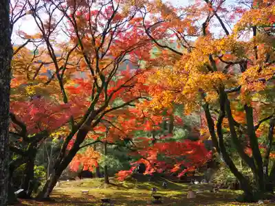 宝厳院(京都府)
