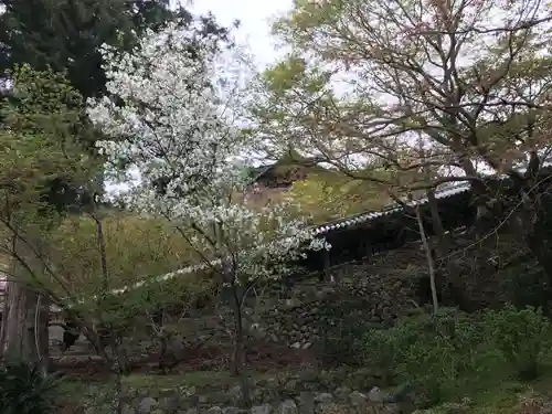 長谷寺のその他建物