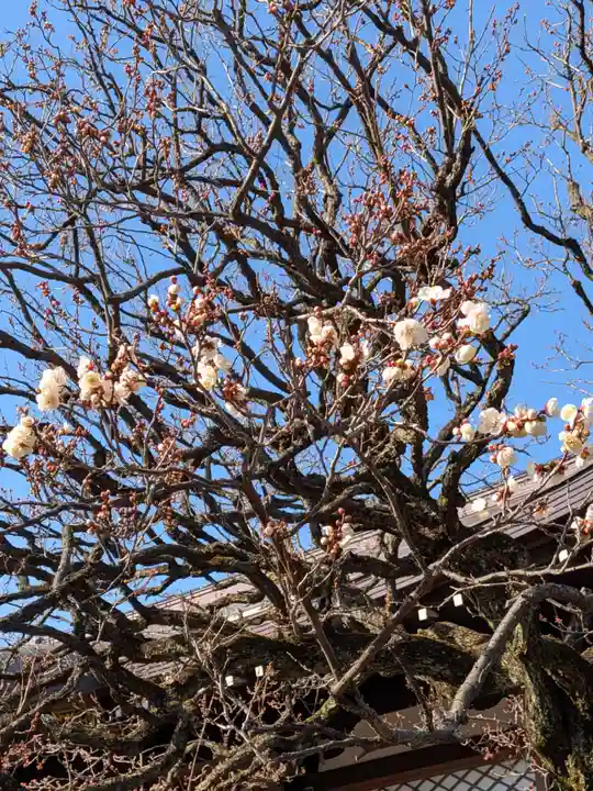 福蔵院(東京都)
