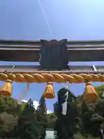 礒宮八幡神社の{uncategorized: "未分類", other: "その他", undefined: "問題あり", building: "その他建物", grave: "お墓", sacred_gate: "鳥居", guardian: "狛犬", statue: "像", buddha: "仏像", history: "歴史", nature: "自然", garden: "庭園", animal: "動物", pagoda: "塔", temizu: "手水舎", mountain_gate: "山門・神門", sanctuary: "本殿・本堂", subordinate: "末社・摂社", art: "芸術", scenery: "景色", jizo: "地蔵", ema: "絵馬", goshuin: "御朱印", omikuji: "おみくじ", items: "授与品その他", amulet: "お守り", goshuincho: "御朱印帳", eats: "食事", festival: "お祭り", votive_dance: "神楽", shichigosan: "七五三参", wedding: "結婚式", experience: "体験その他", initially: "初詣", around: "周辺", anti_infection: "感染症対策"}