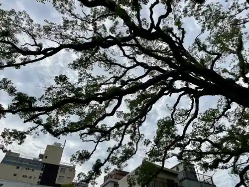 大雄寺(東京都)