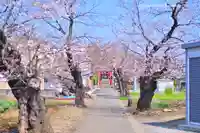 川和八幡神社(神奈川県)