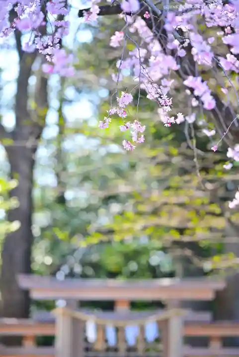 伊勢山皇大神宮(神奈川県)