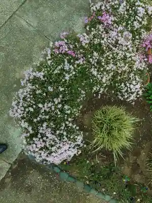 神道大教大和八幡神社(千葉県)