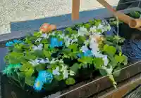 成田山川越別院(埼玉県)