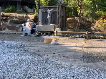 宝昌院(千葉県)