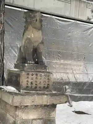 白石神社の狛犬