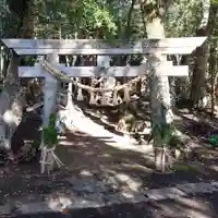 白幡神社の鳥居
