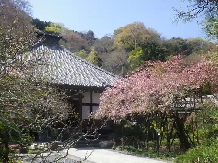 光則寺の本殿・本堂