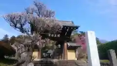 補陀寺の建物その他