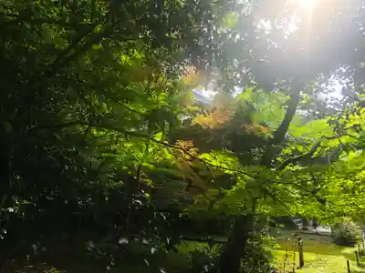 葉山神社(京都府)