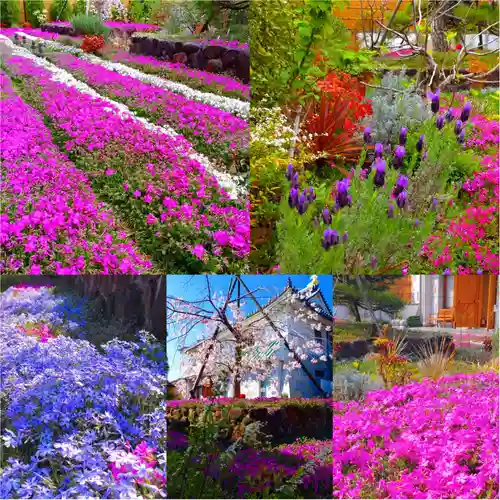 寿量山　速成寺(奈良県)
