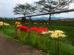 泊神社の自然