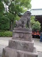 根津神社の狛犬