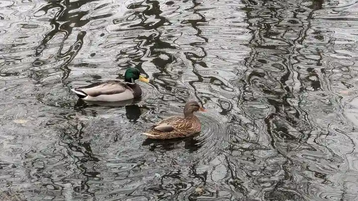 永山神社(北海道)