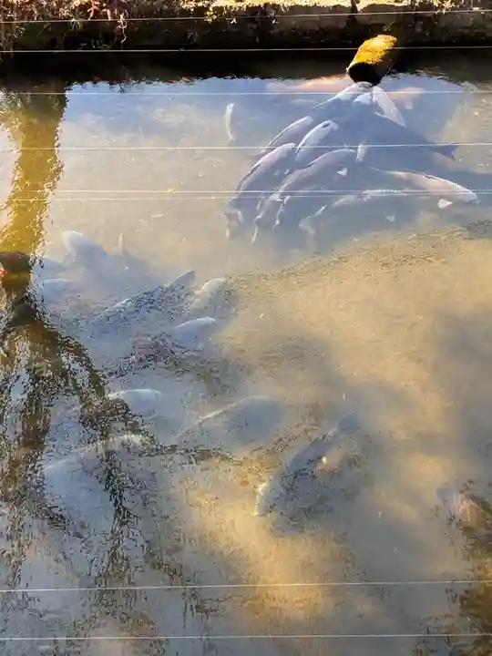 鹿嶋神社(福島県)