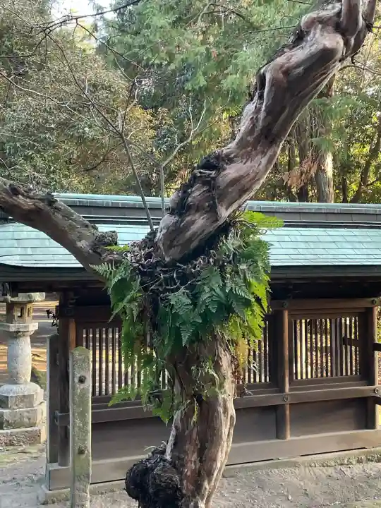 皇大明神社(中牧)(愛知県)