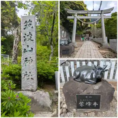 筑波山神社(茨城県)