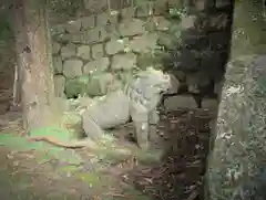 青龍神社の狛犬