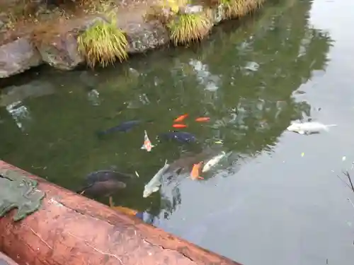 圓鏡寺(岐阜県)