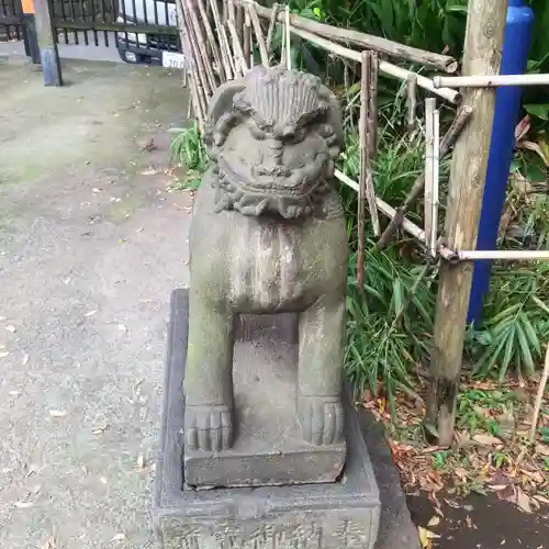 花園稲荷神社の狛犬