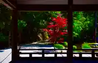 賀茂別雷神社(上賀茂神社)の庭園