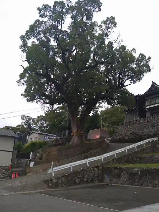鎮西大社諏訪神社(長崎県)