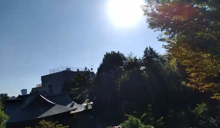 鳩森八幡神社の景色