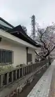 天孫神社(滋賀県)