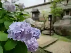 皆中稲荷神社の自然