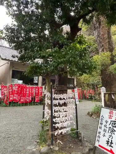 八雲神社（鎌倉・大町）のおみくじ