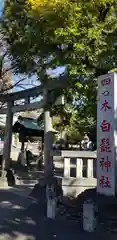 白髭神社の鳥居