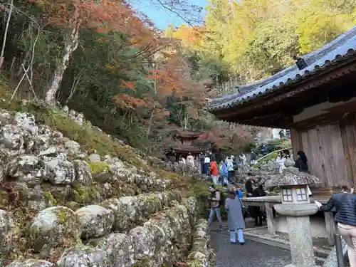 愛宕念仏寺(京都府)