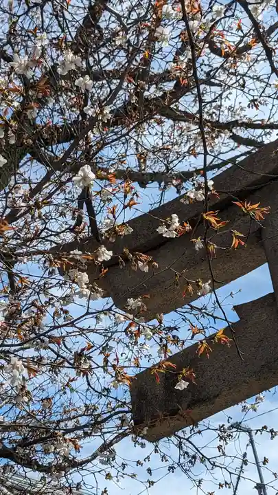 本満寺(本願満足寺)(京都府)